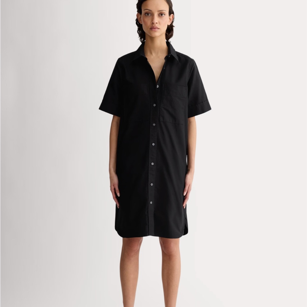 Everlane Oxford short sleeve shirt dress